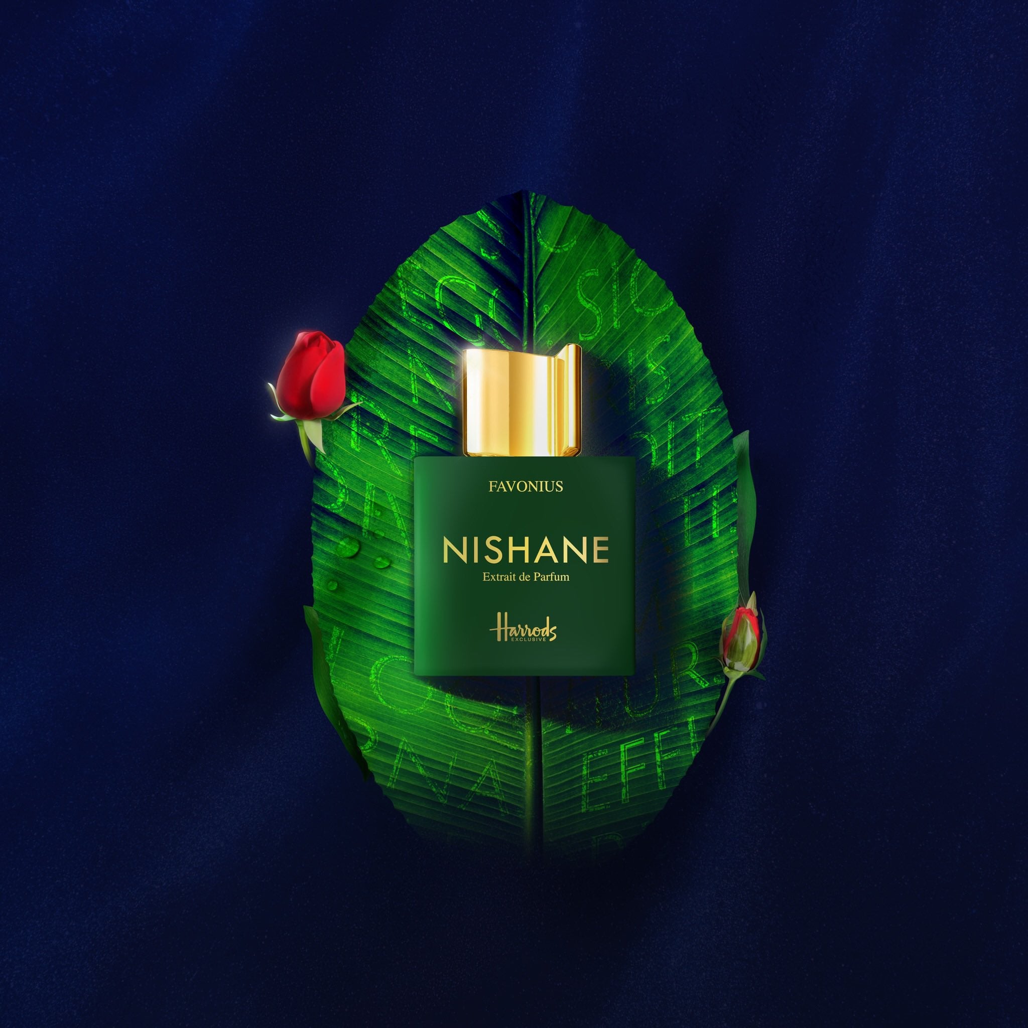 NISHANE