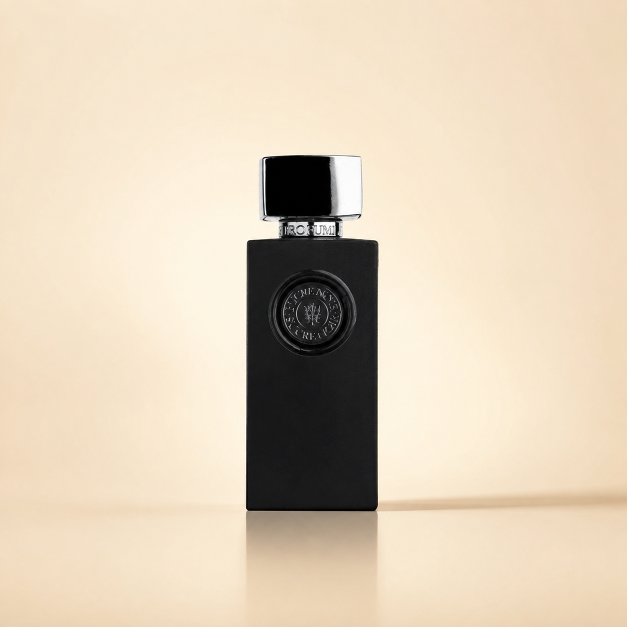 SUCRE NOIR